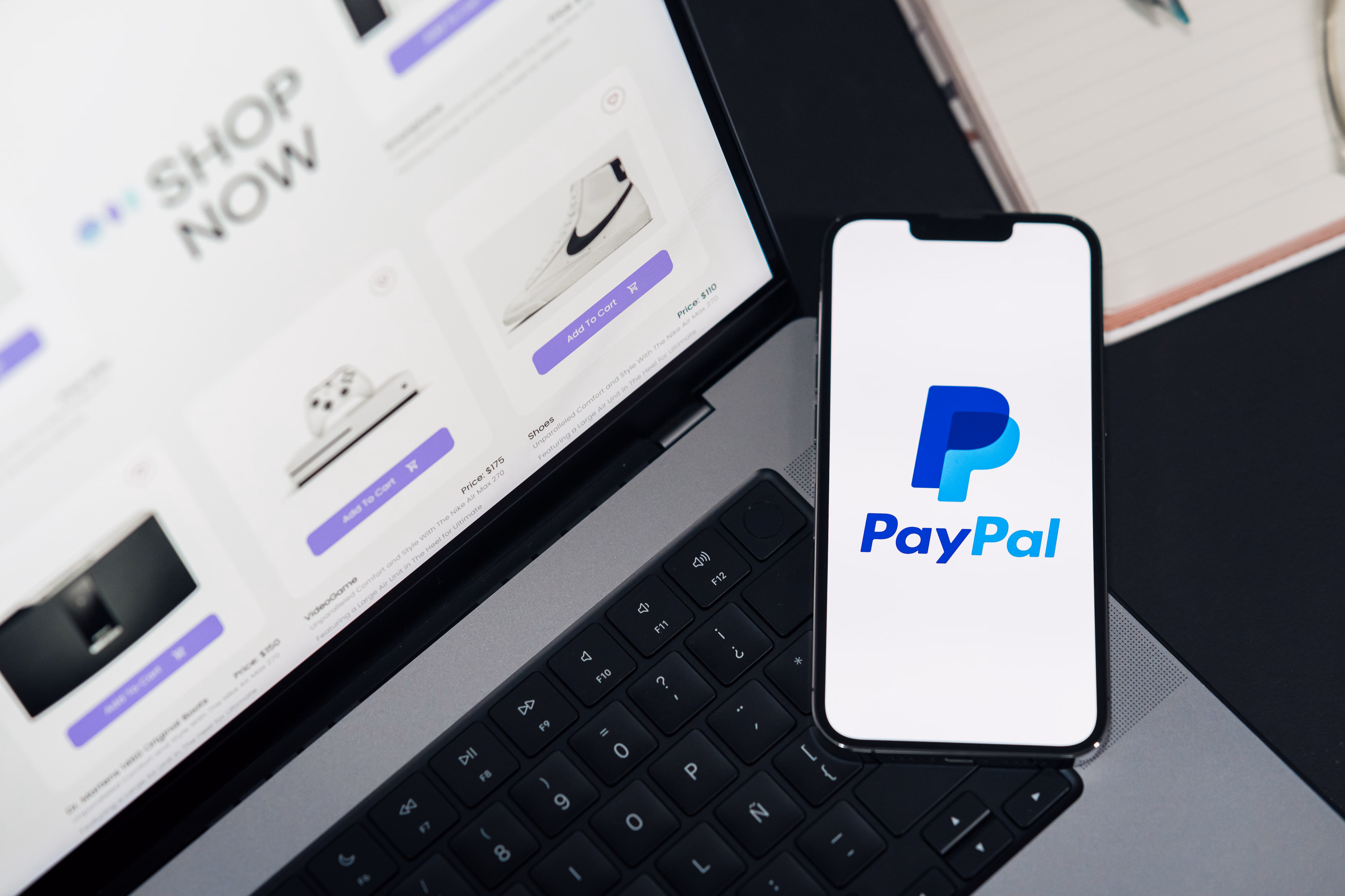 Ecommerce Search Box Schema: A Practical SEO Guide for Online Stores