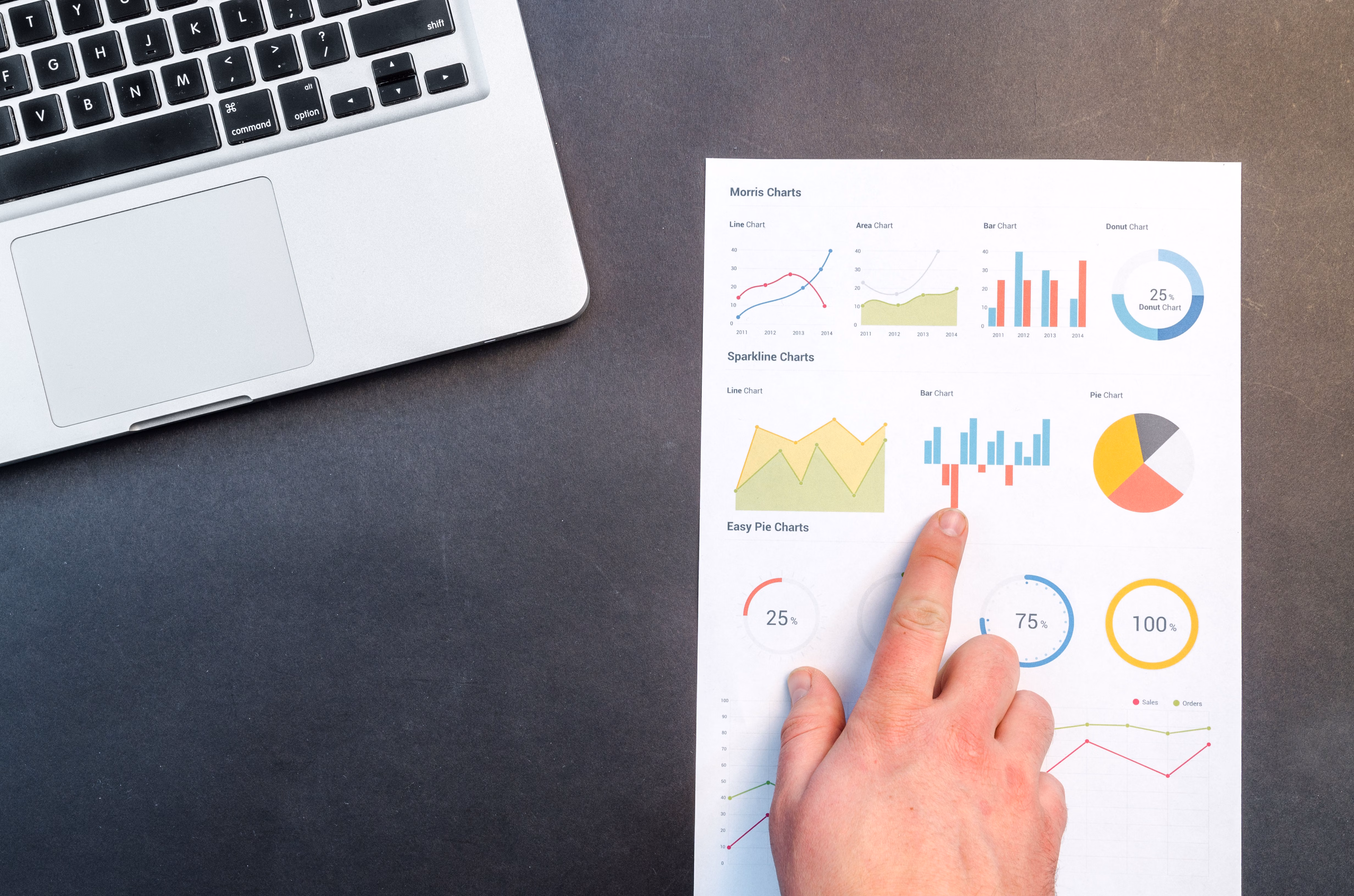 Backlink Report: How to Read Link Quality and Relevance